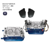 Backup-Mirror-Mould-02