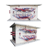 AUTO MOULD 01